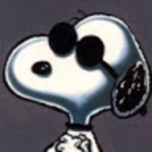 Meet your Posher, Irene